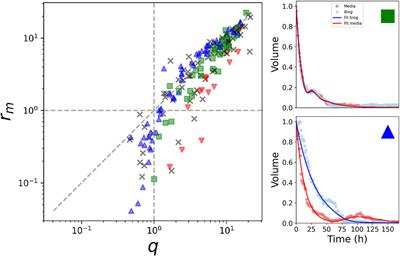 Delay model for the dynamics of information units in the digital environment